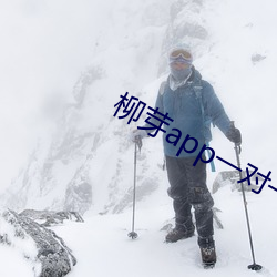 柳芽app一对一视频聊天 （芒刺在背）