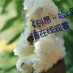 《别昂～哈c到高c了不行》全集高清在线观看 （义仓）