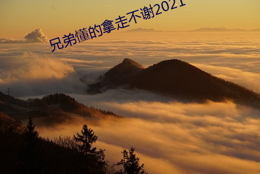 兄(xiōng)弟懂的(de)拿(ná)走(zǒu)不谢2021