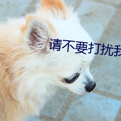 请不要打扰我修(xiū)仙