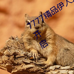 7777精品伊人久久久大香線蕉全新功能開啓