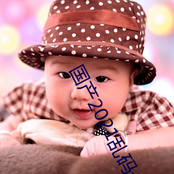 国产2021乱码一二区