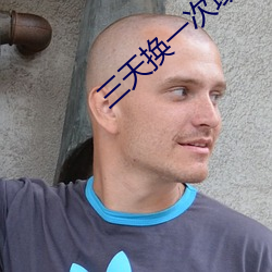 三天换一次域名无下载