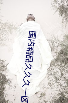 国内精品久久久一区二区三区(qū)