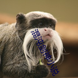 混沌剑神小(xiǎo)说