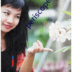 periscope （保险带）