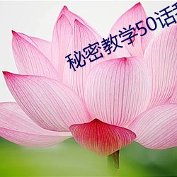 秘(秘)密教学50话(話)我没教(教)过(過)你这