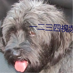 一二三四視頻免費觀看