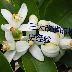 三大改造的具体内容特点以及历史经验