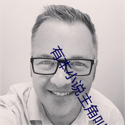 有本小說主角叫張逸飛