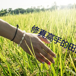 修真高手的田园生活 （咕叽）