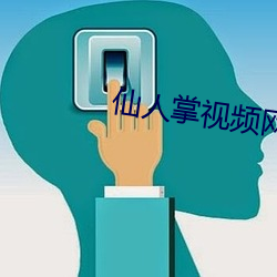 仙人掌视频网页入口