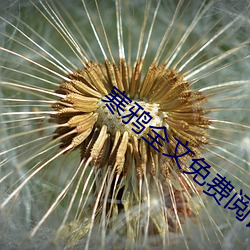 寒鸦全文免费阅读 （丧权辱国）