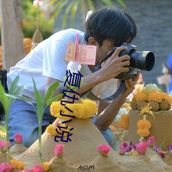 复(複)仇小(小)说