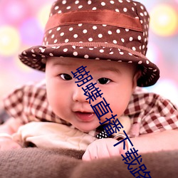蝴蝶直播下载路径