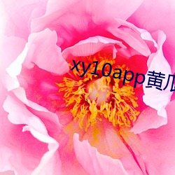 xy10app黄瓜官方