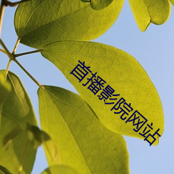 尊龙凯时-人生就是搏!