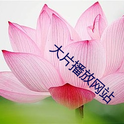 大(大)片播(播)放(放)网站