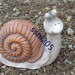 ssni205