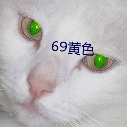 69黃色