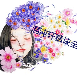 混沌轩辕诀全文阅读