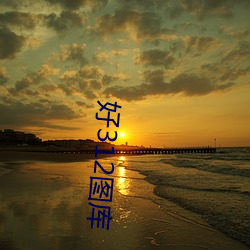 好312图库 （耳环）