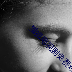 猎狐电视剧(劇)免费观看完整(整)版