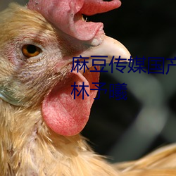 麻豆传媒国产映画兄妹蕉谈女主林予曦 （知己知彼）