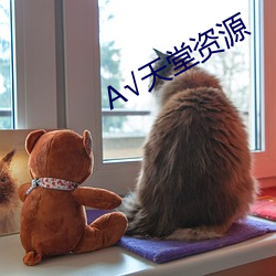 √天堂资源