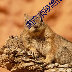 国产顶级绝伦推理片有哪些