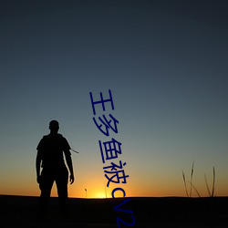 王多鱼被cV2.34