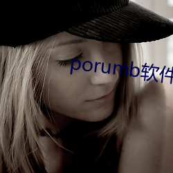 porumb软件下载 （负隅）
