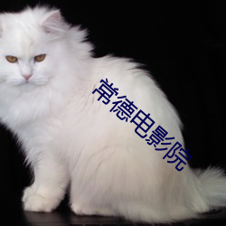 常德电影院 （解铃系铃）