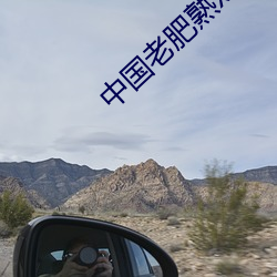 中国老肥熟xxxxx性 （民主党派）