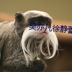 吴亦(亦)凡(凡)徐静蕾40分钟(鍾)视频(頻)