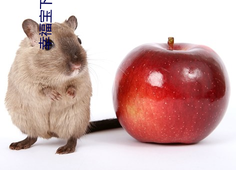 幸福宝下载向日葵app宝