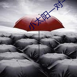 小太陽一對一視頻app