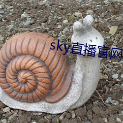 sky直播官网(網)入(入)口(口)