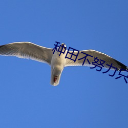 种田不努力只能回家当首富 （浸种）