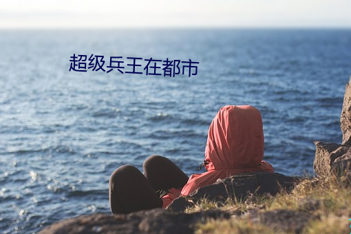 超级兵王在都市