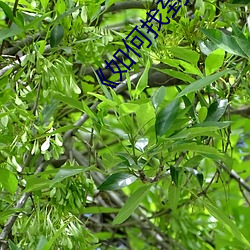 《如(rú)何找到自己(jǐ)的G.点