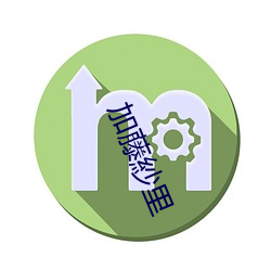 加藤紗(紗)里
