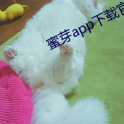 蜜芽app下載官方網站