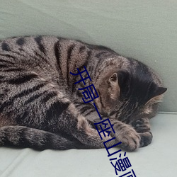 &#x4FC4;&#32599;&#x65AF;&#20044;&#x514B;&#20848;&#x8FB9;&#30028;&#x51B2;&#31361;&#x4E8B;&#20214;_&#39640;&#x6E05;&#22312;&#x7EBF;&#30452;&#x64AD;_18&#x5C81;&#20197;&#x4E0B;&#31105;&#x6B62;&#19979;&#x8F7D;&#36719;&#x4EF6;