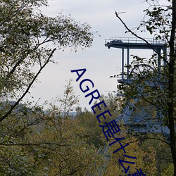 AGREE是什么意思