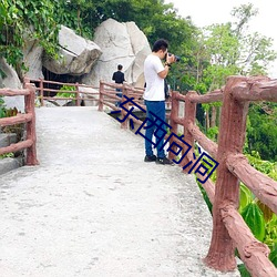 东西向洞