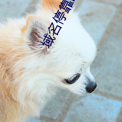 域(yù)名停靠i8勿进