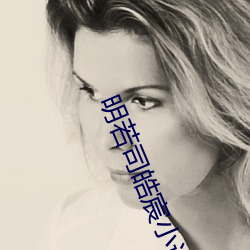 明若司皓宸小(xiǎo)说免费(fèi)阅读无(wú)弹窗