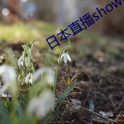 日本直播showroom