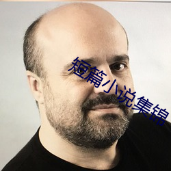 短篇小说集(jí)锦